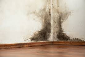 Mold is Gold In Apartment Communities